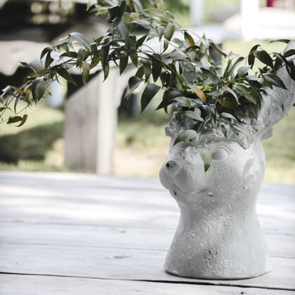 Seko baltajam trusim!