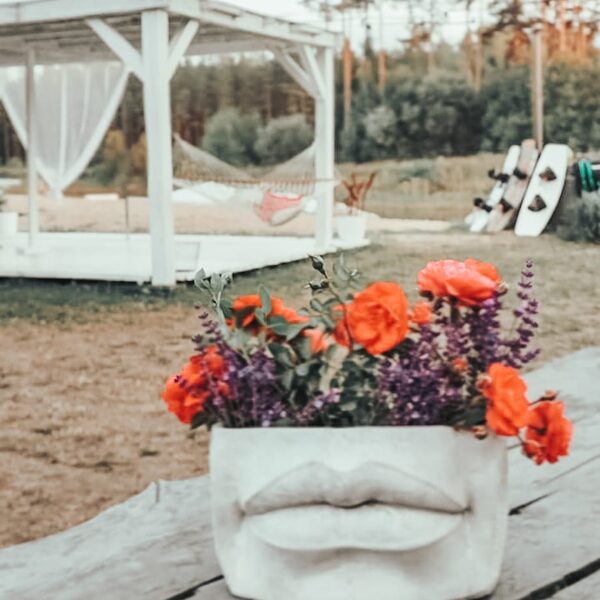 Daba un ziedi visapkārt!